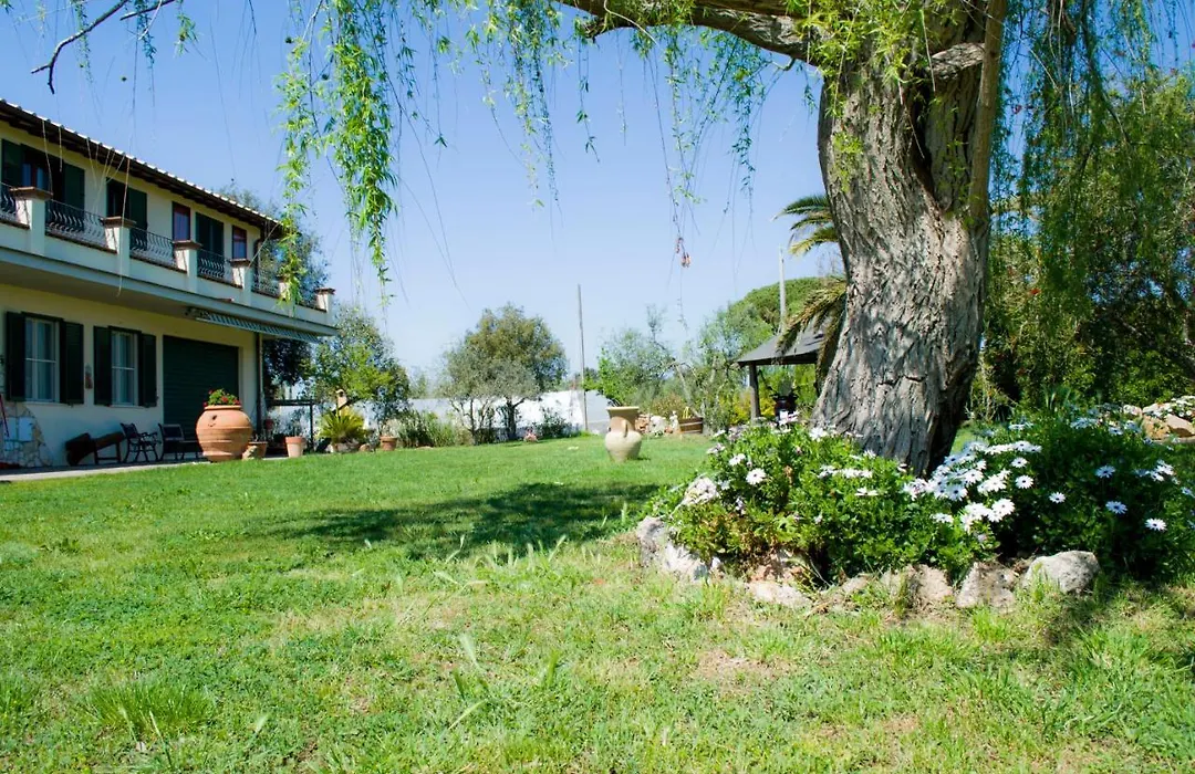 Villa Enli-1
