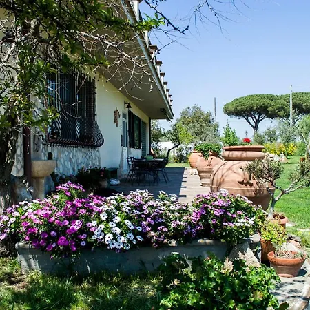 Villa Enli-3